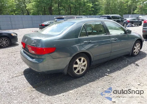 2005 Honda Accord 3.0 Ex z USA, uszkodzony, nr VIN 1HGCM665X5A000307